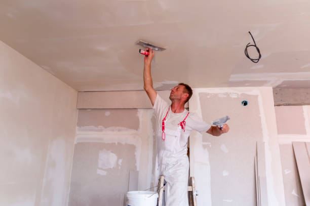 Best Interior Painting  in Brownsville, TN